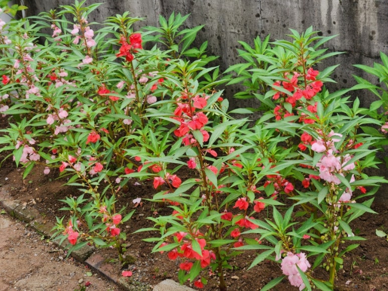 용정소머리곰탕 이미지