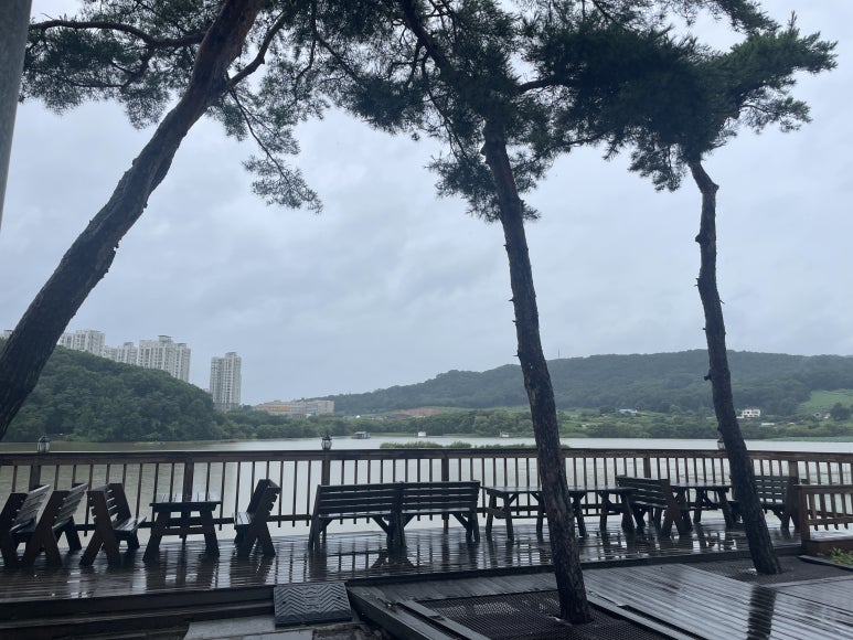 월랑쭈꾸미아산 이미지