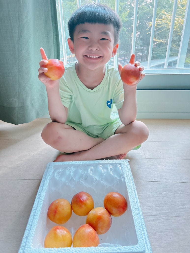 와촌스토어 이미지