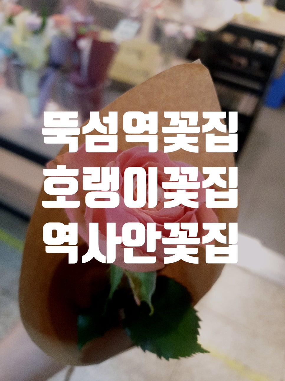 호랭이꽃집 이미지