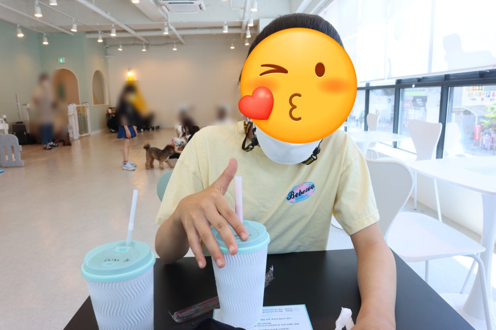 김포 펫다방 애견카페, 반려견 동반 및 미동반 방문 후기 — 사진 9