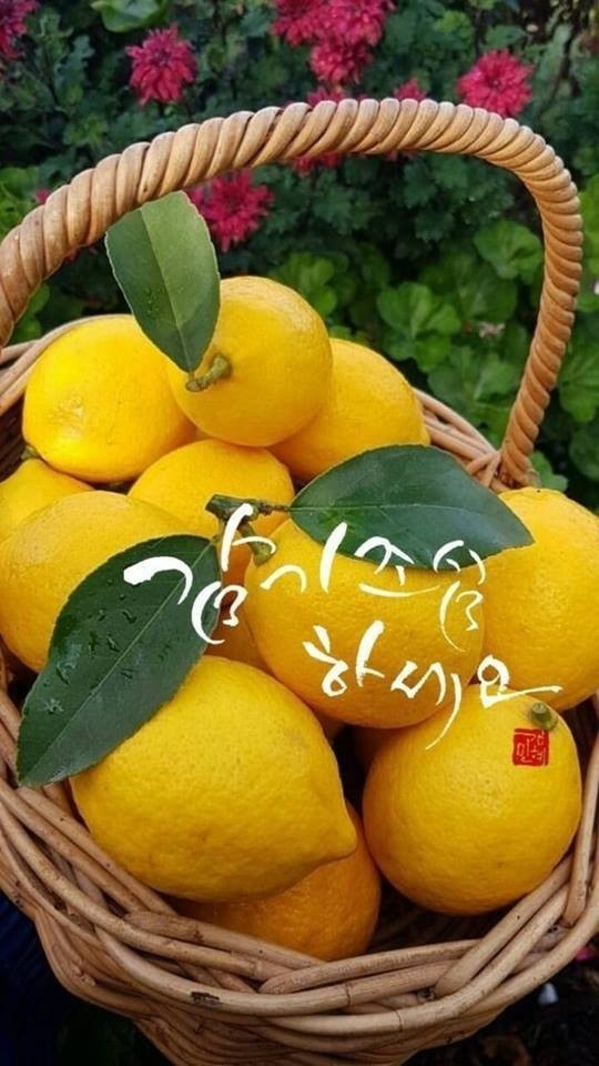 한산대장어 이미지