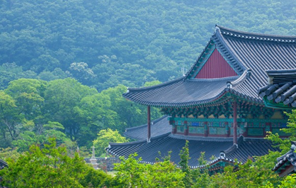 울산축산농협한우프라자 이미지