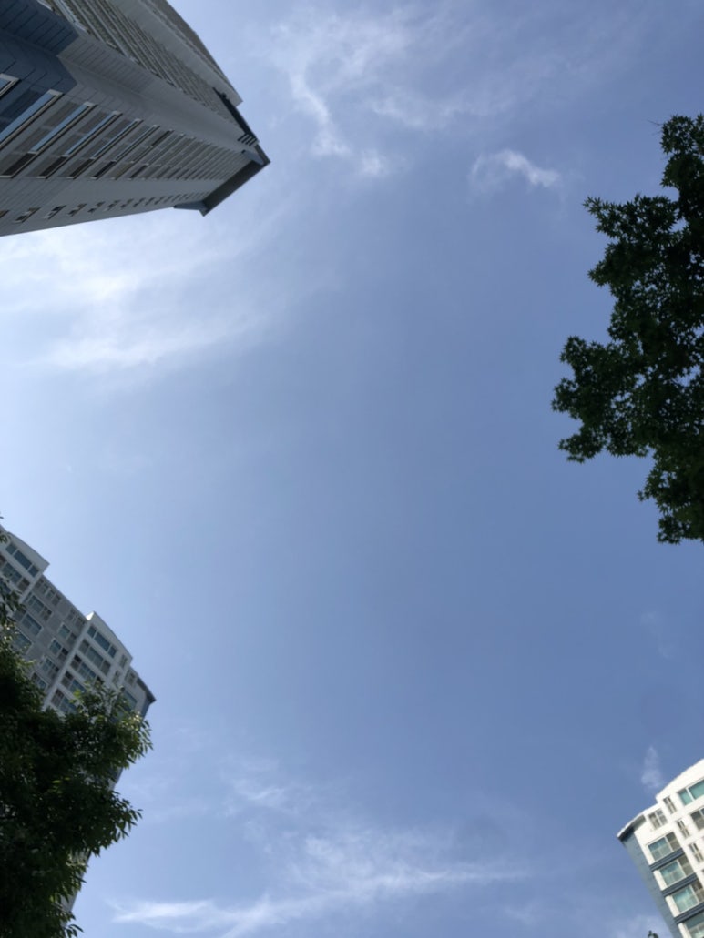 뽑튜브 이미지