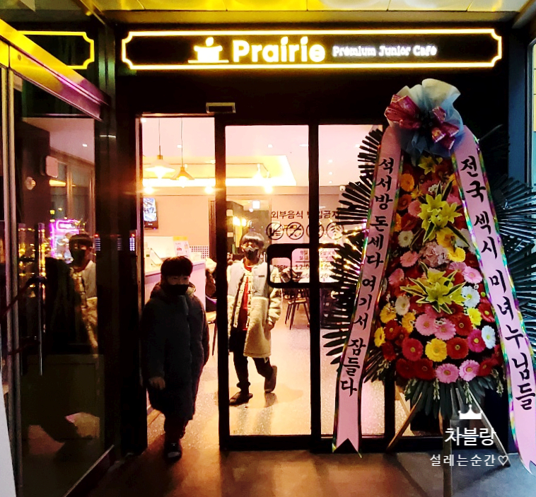 프레리주니어 이미지