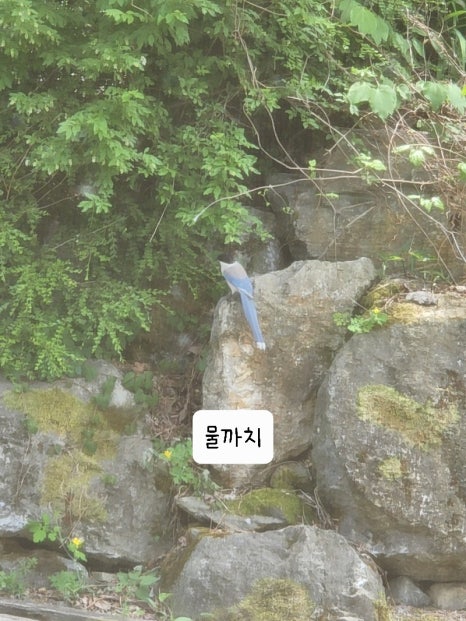 소선암자연휴양림 이미지
