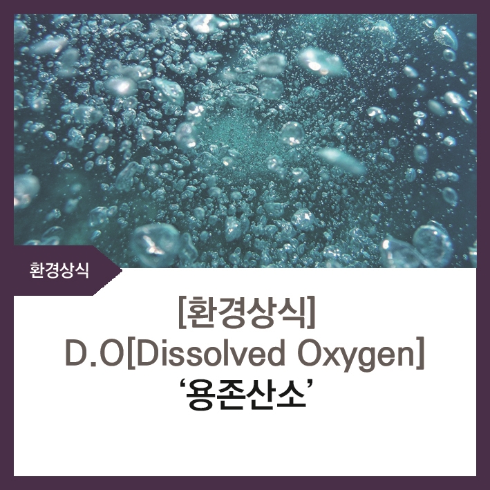 에닌주식회사 이미지