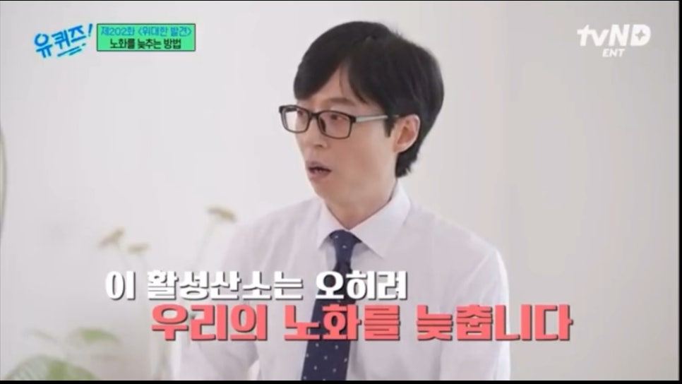 피티포유 이미지