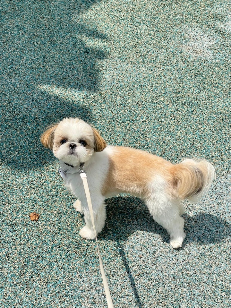 하우스플랜 이미지