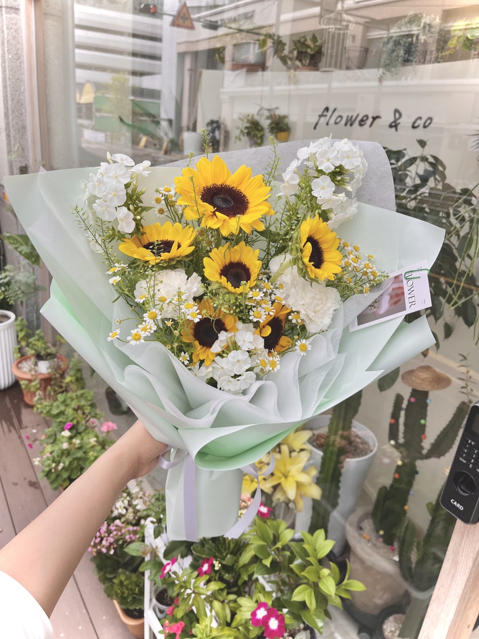 플라워앤코 이미지