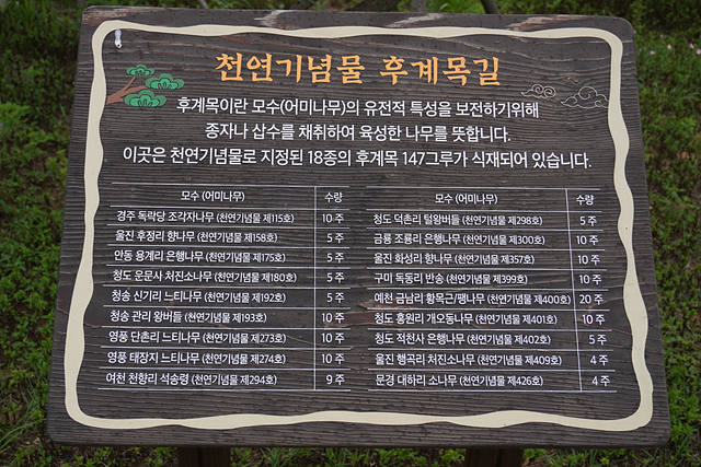 대성어탕 이미지