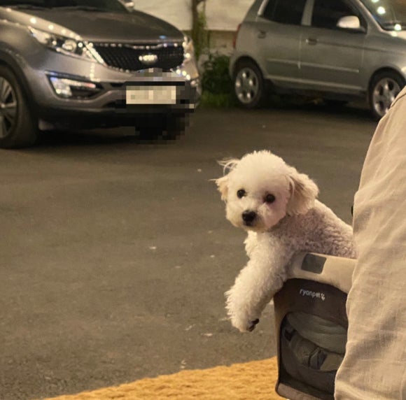 삼바리 반여점 이미지