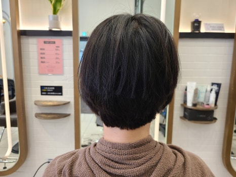 더디토헤어 이미지