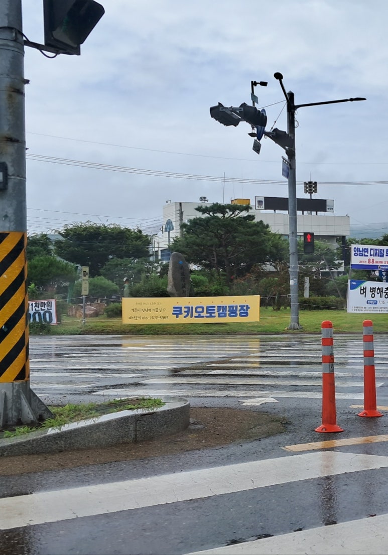 경주쿠키오토캠핑장 이미지