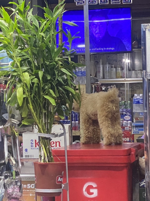 런당구장 이미지