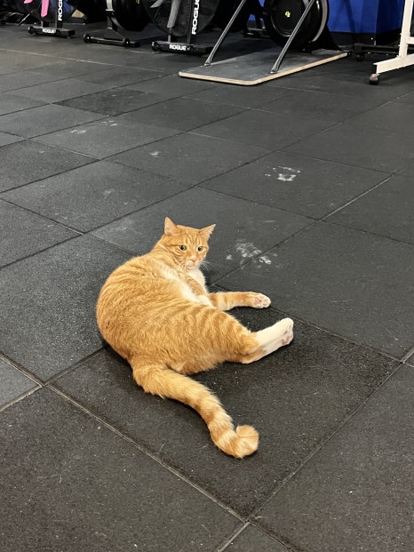비원트레이닝 이미지