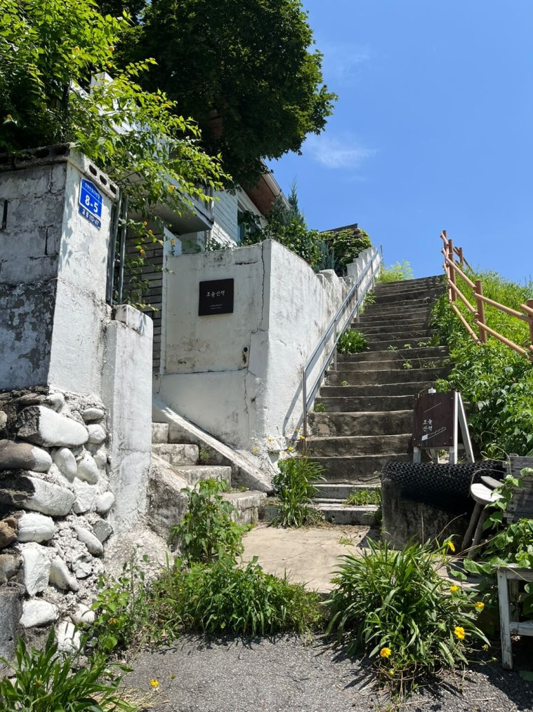 오늘산책 이미지