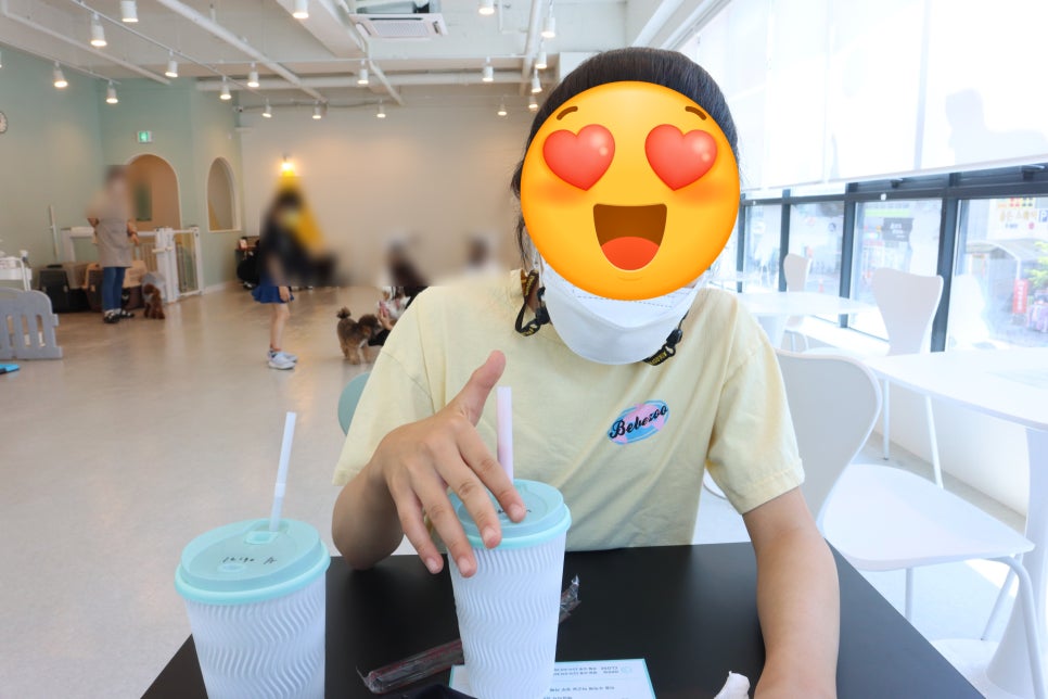 김포 펫다방 애견카페, 반려견 동반 및 미동반 방문 후기 — 사진 8