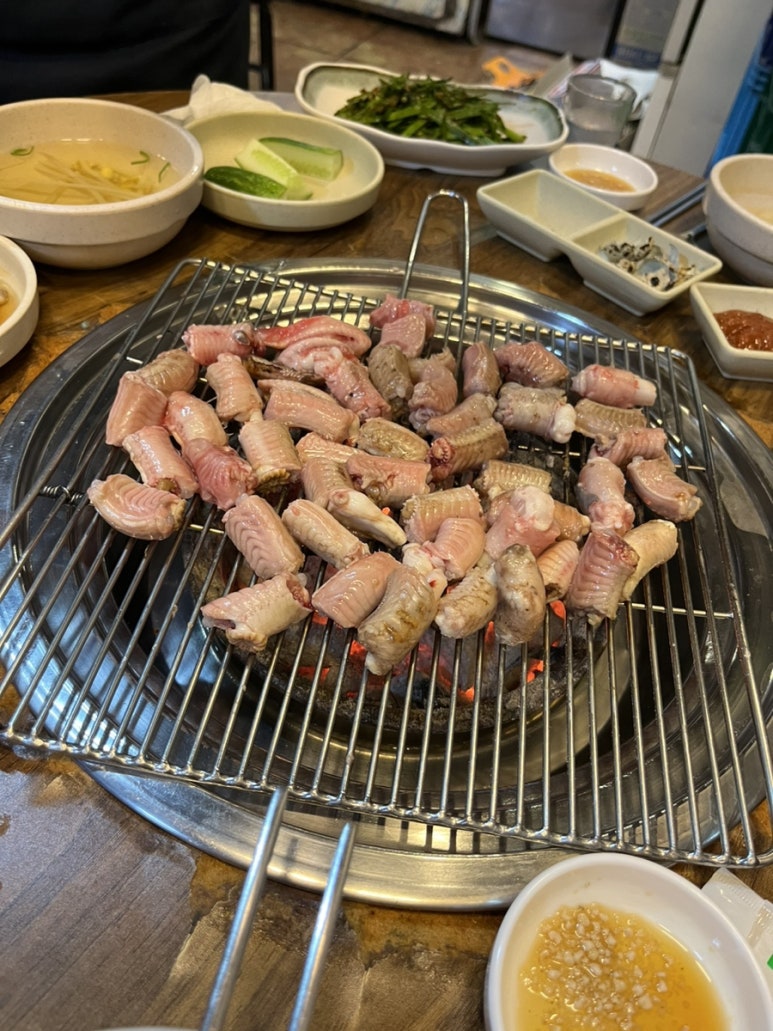 등대지기꼼장어 이미지