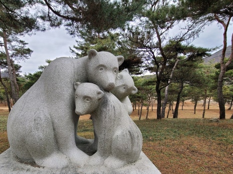 나루행정사사무소 이미지