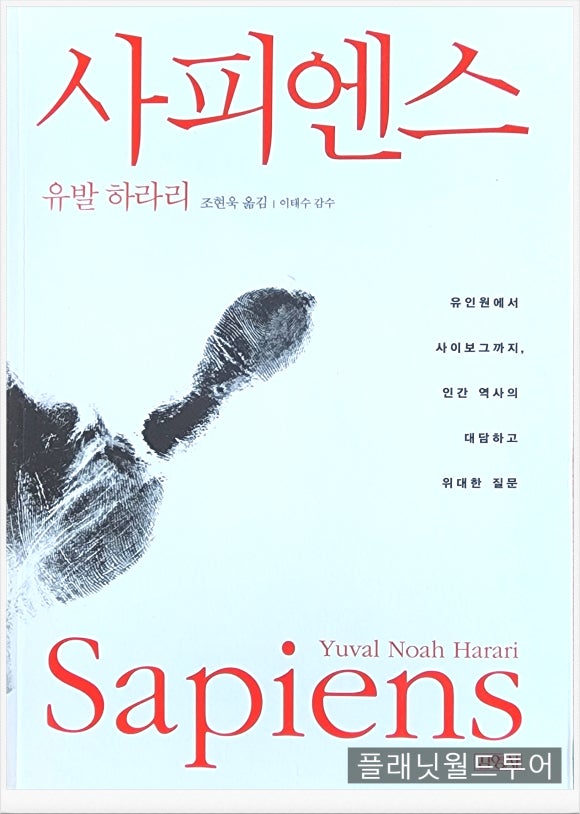 노아컨설팅 이미지