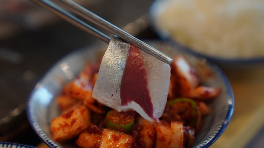맛있고등어 이미지
