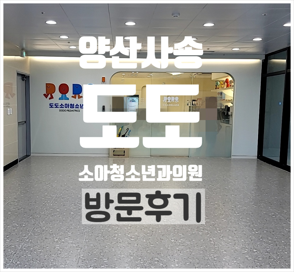 도도소아청소년과의원 이미지