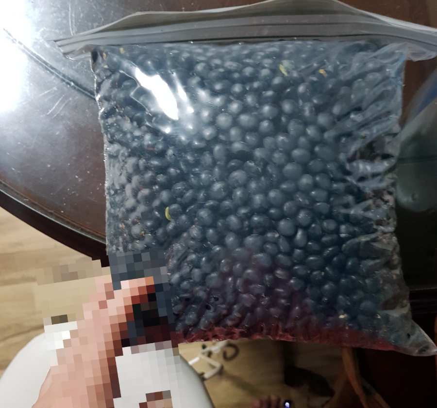 까만콩 이미지