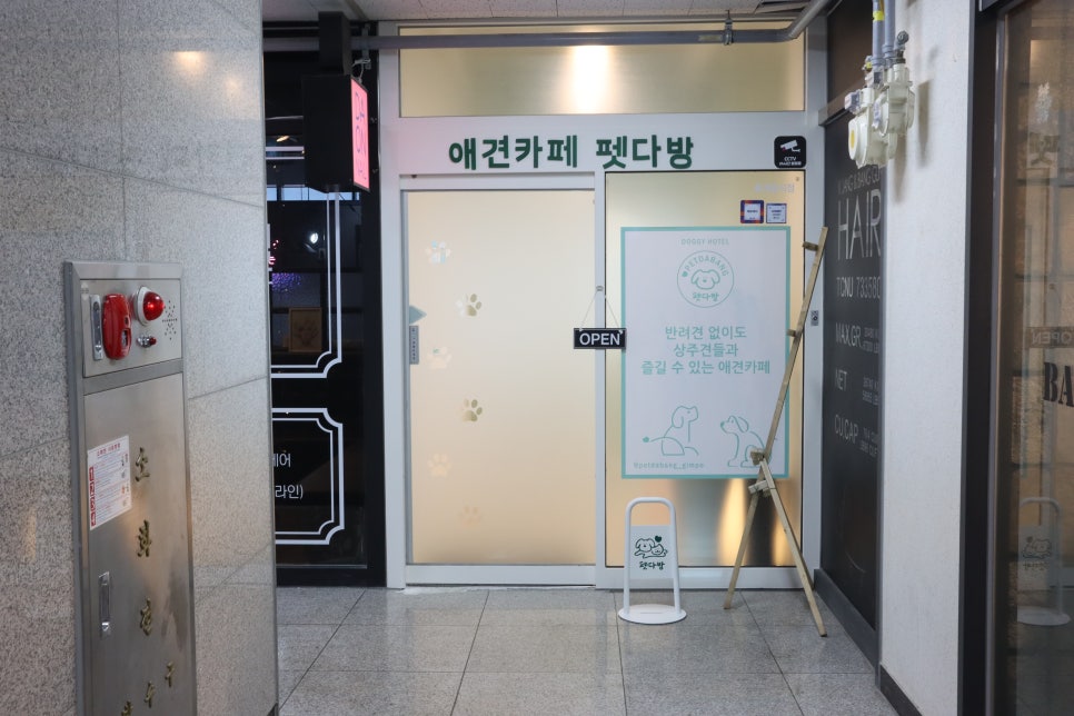 김포 펫다방 애견카페, 반려견 동반 및 미동반 방문 후기 — 사진 2