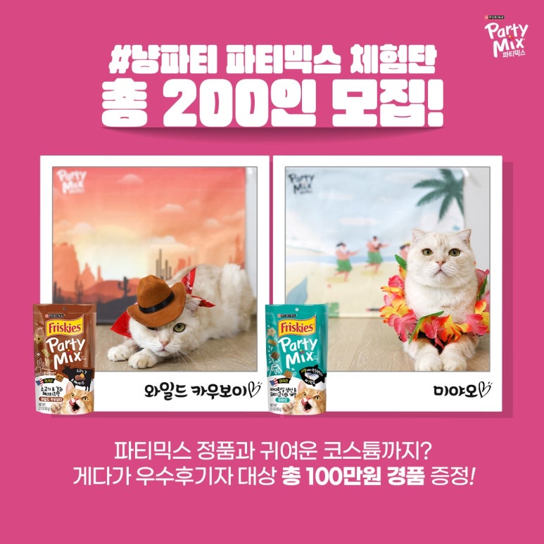 파티파티 이미지