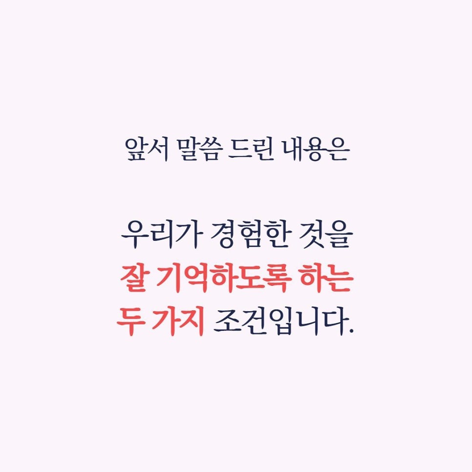 피노키오서점 이미지