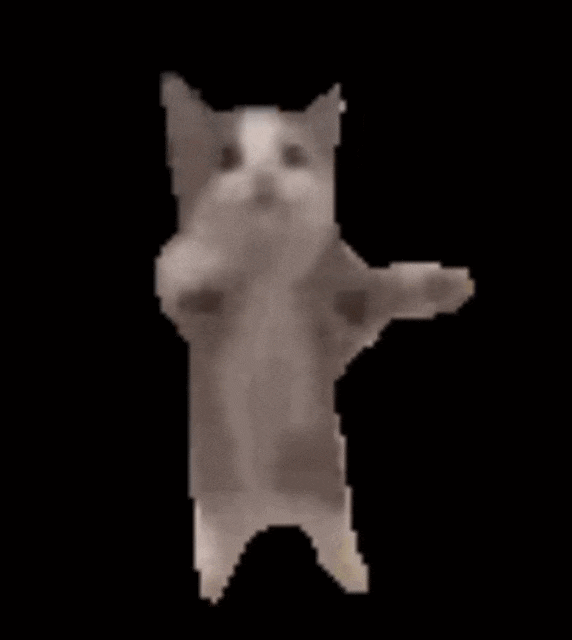 윤멘 이미지