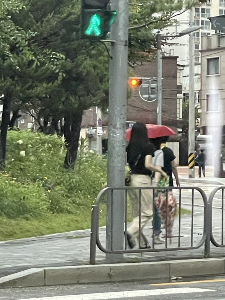 컷코 이미지