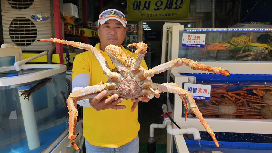 대게왕국 이미지
