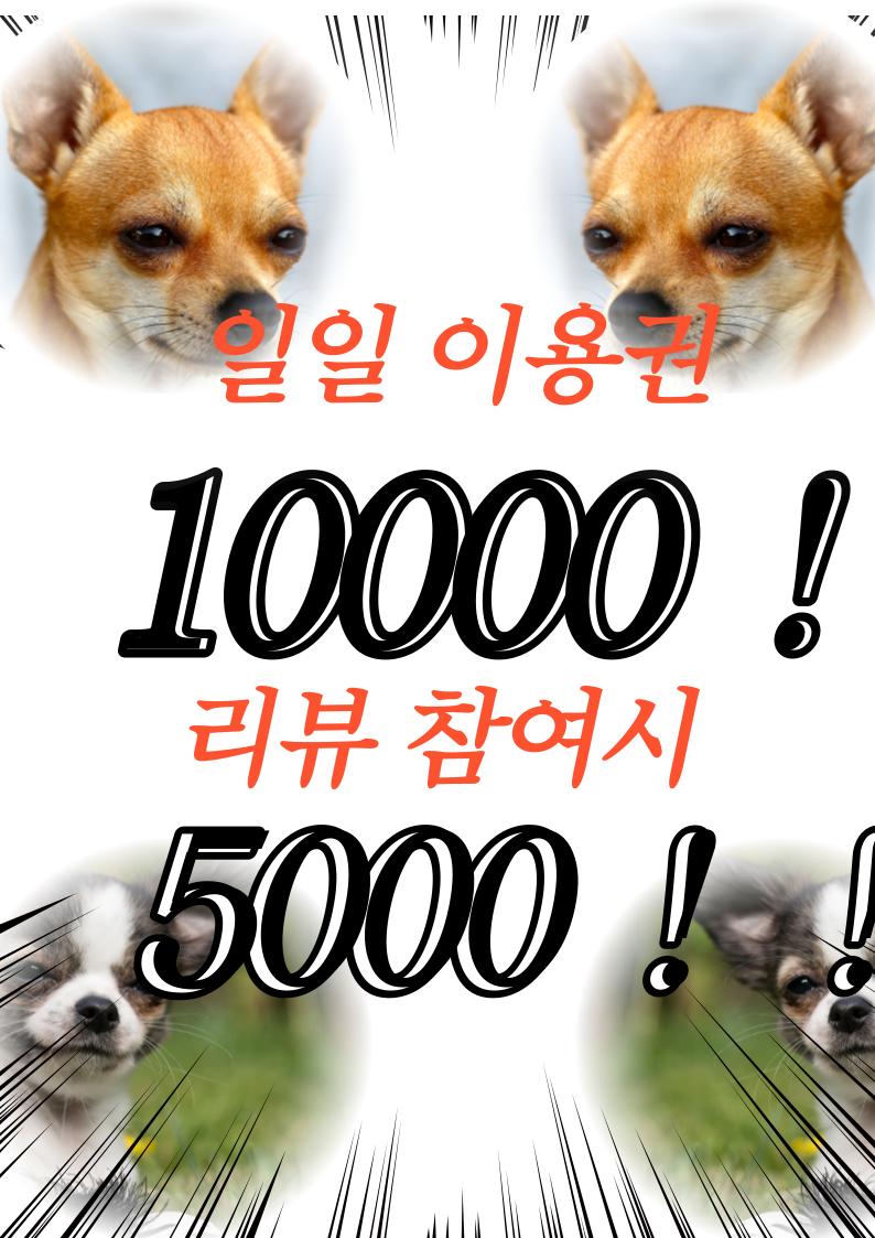 나우휘트니스 이미지