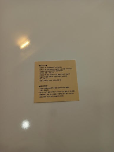 늘 에스테틱 이미지