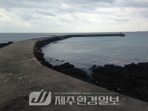 향토다실 이미지