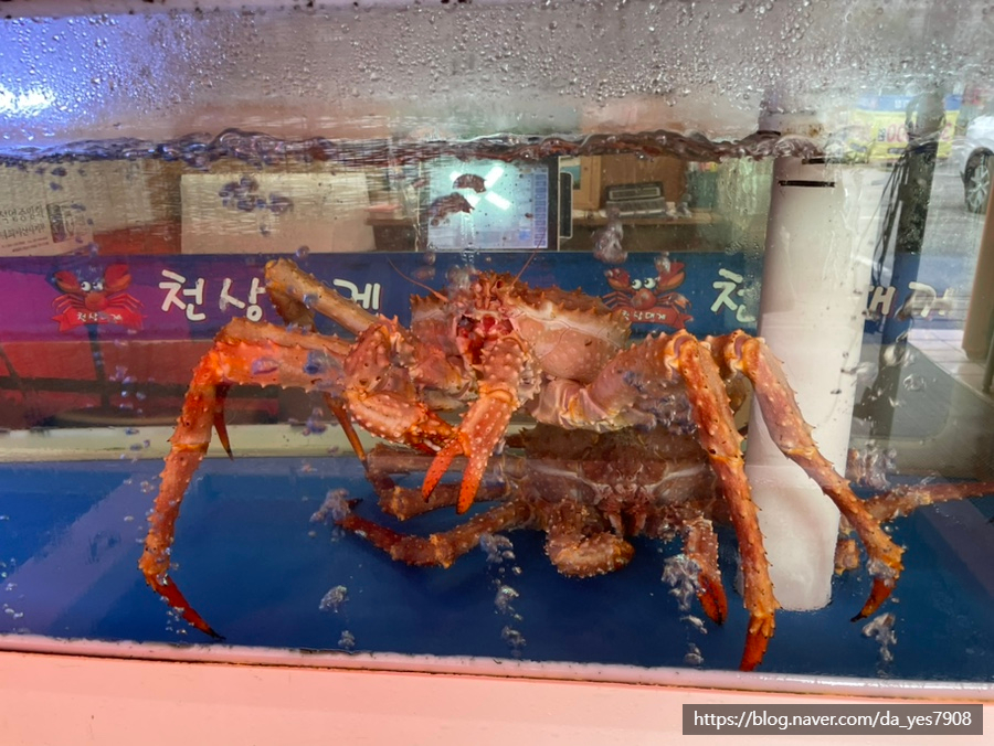 천상대게 배방점 이미지