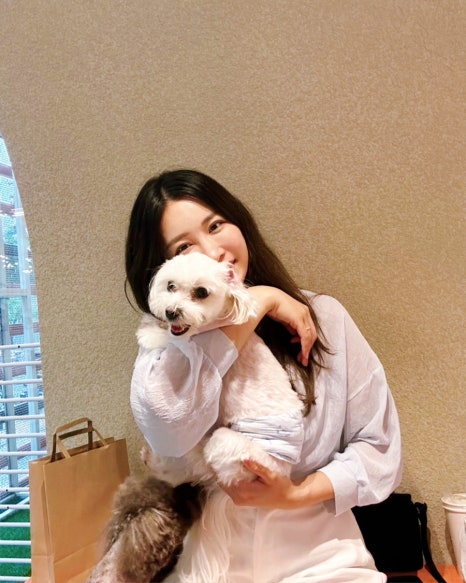 퍼피라운지 이미지