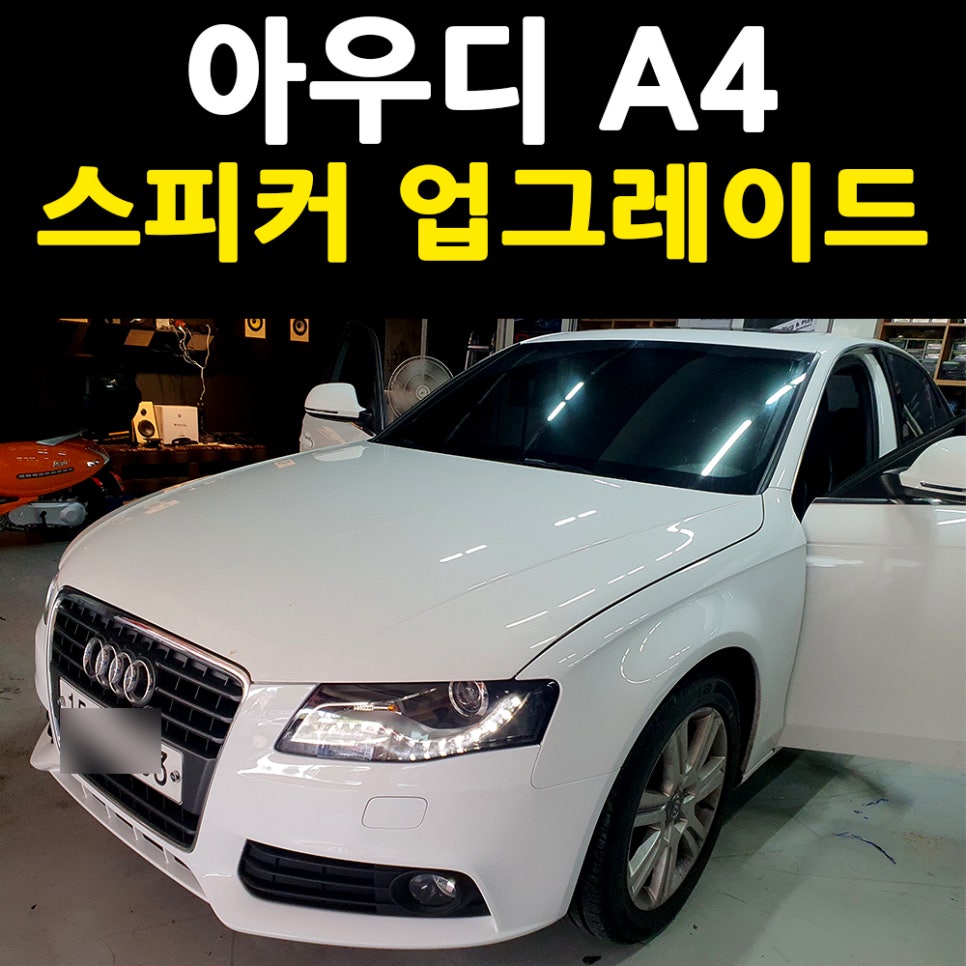 수영카오디오 이미지