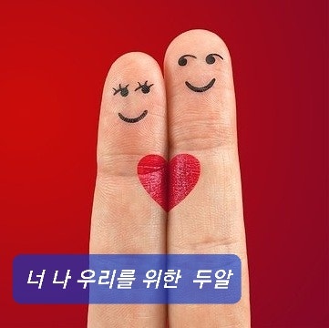 와이존 세비클럽 이미지