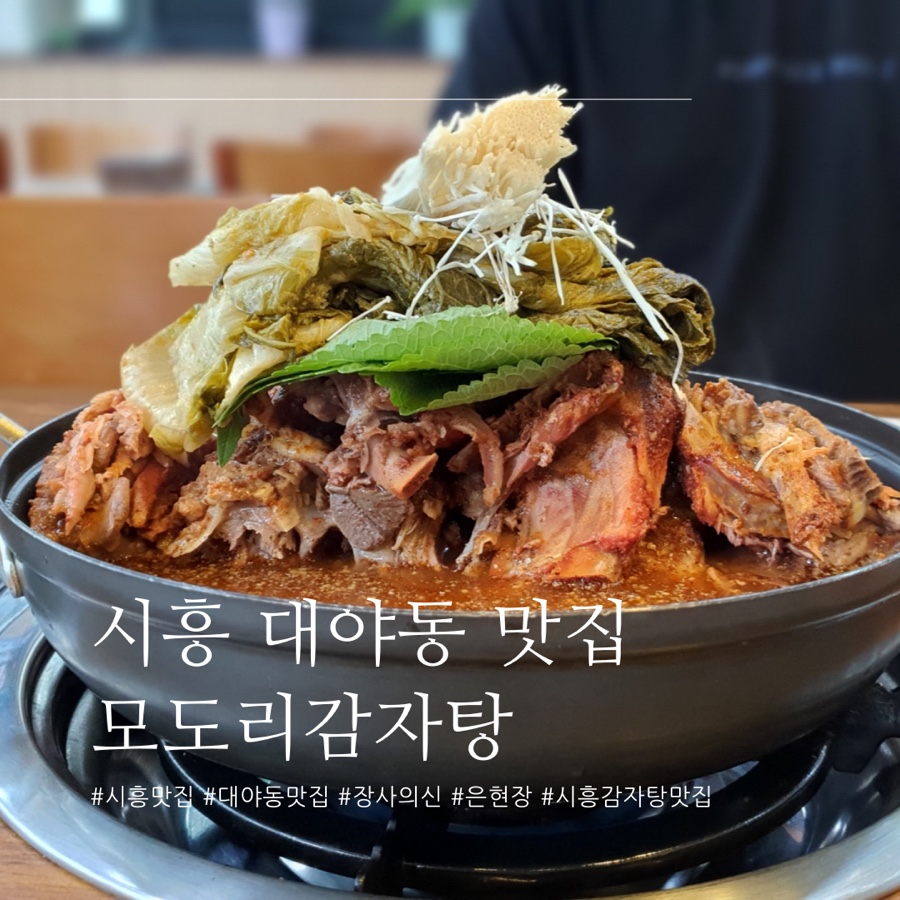 모도리클린 이미지