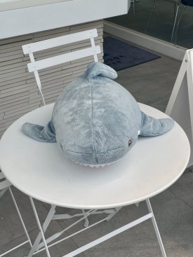 블루샥제주법원점 이미지