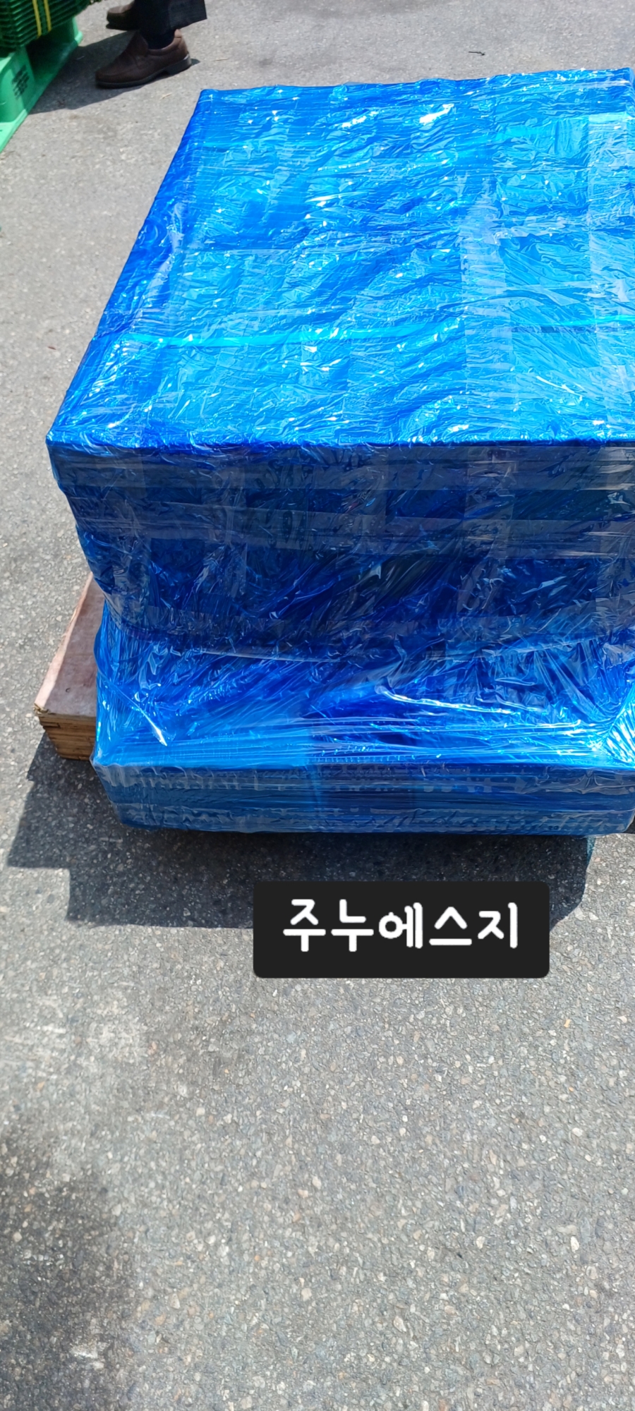 에스지휘트니스 이미지