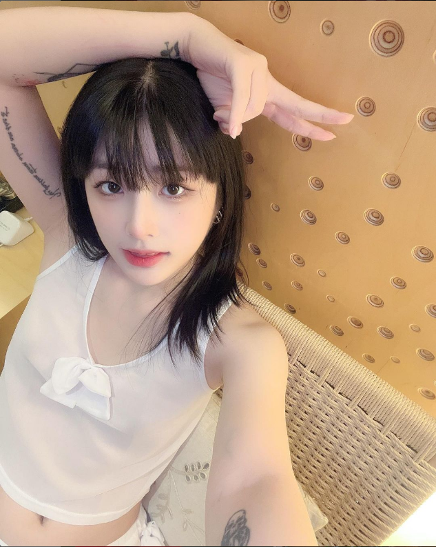 아트그라비아 이미지
