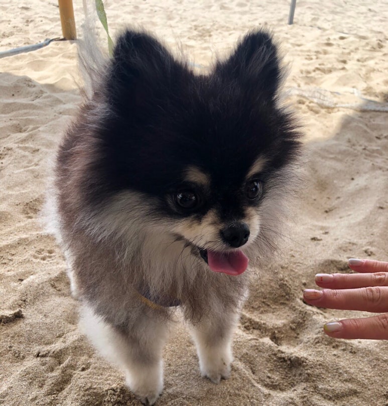 새마을서핑운동 이미지