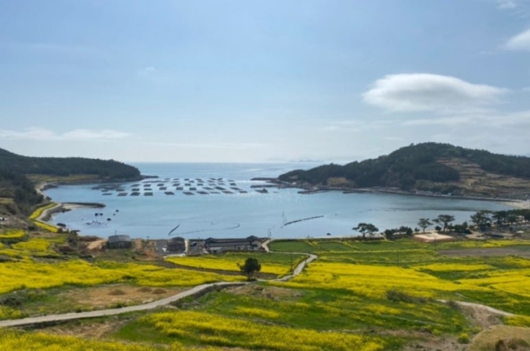 (주)정직한여행 이미지