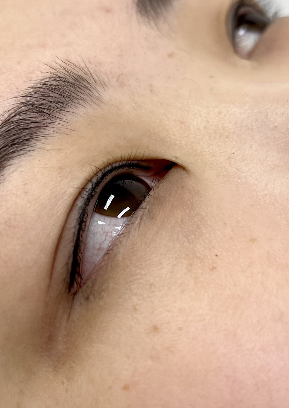눈썹라라샵 이미지