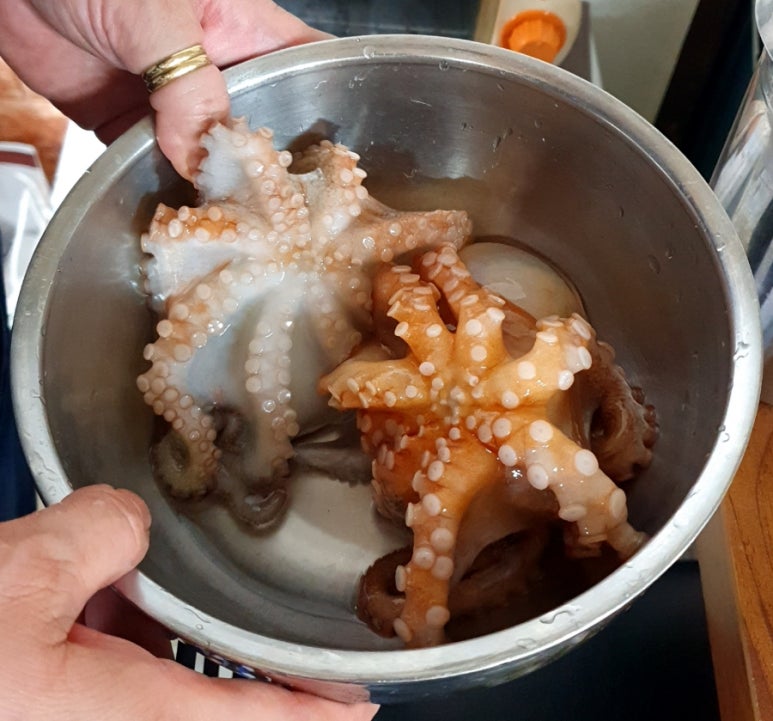 문어시대 이미지