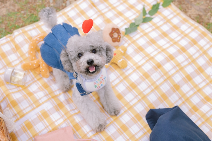 스튜디오산책 이미지